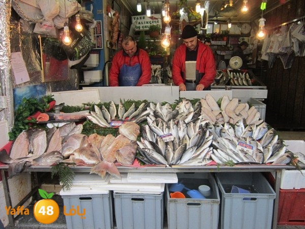 istanbul42500 (212).JPG